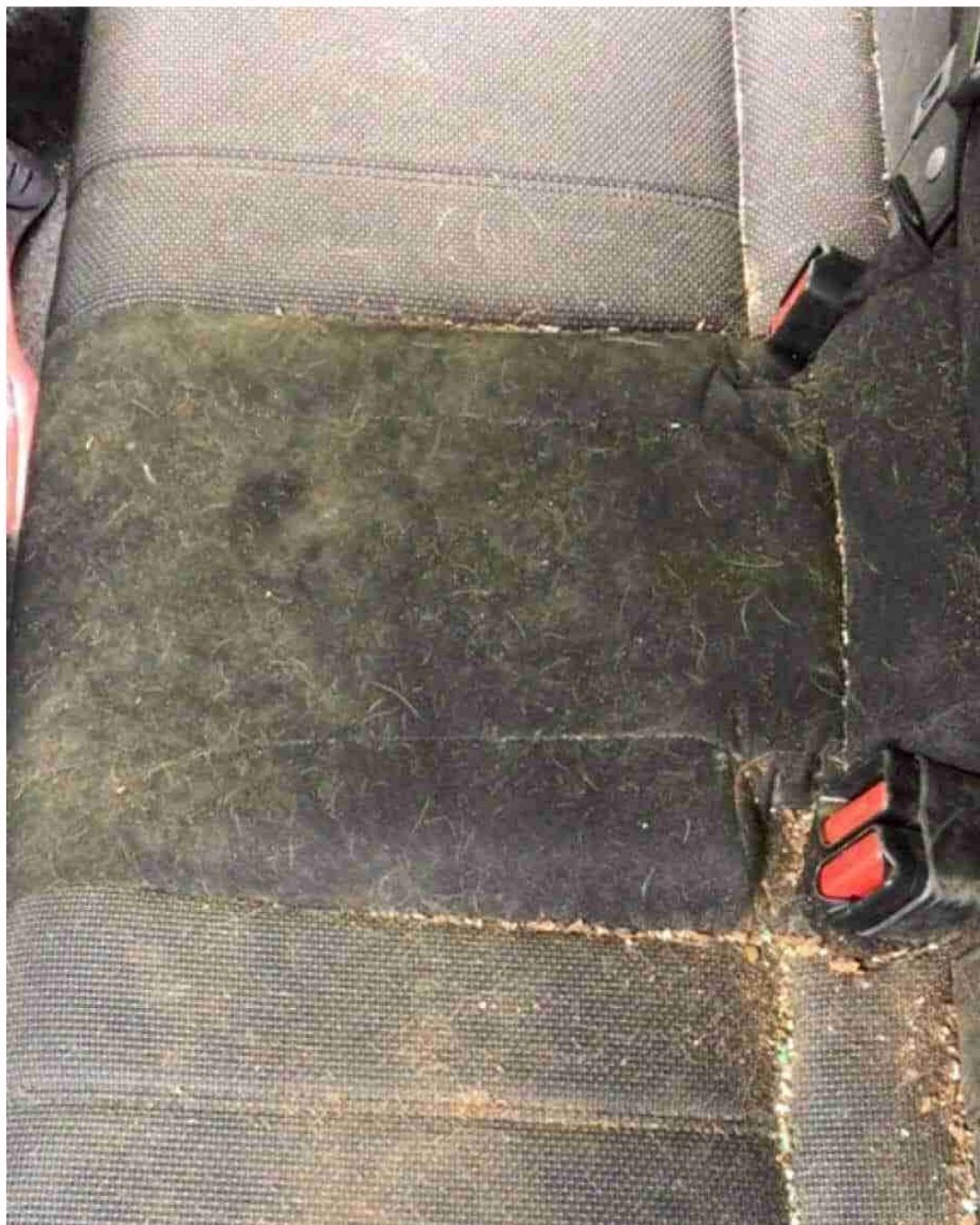 Toyota Corolla 2022 stained seats interior restoration South Florida