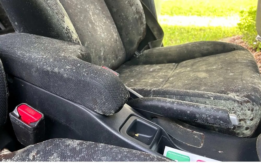 Convertible seats with mold spotting from Coconut Grove marina exposure