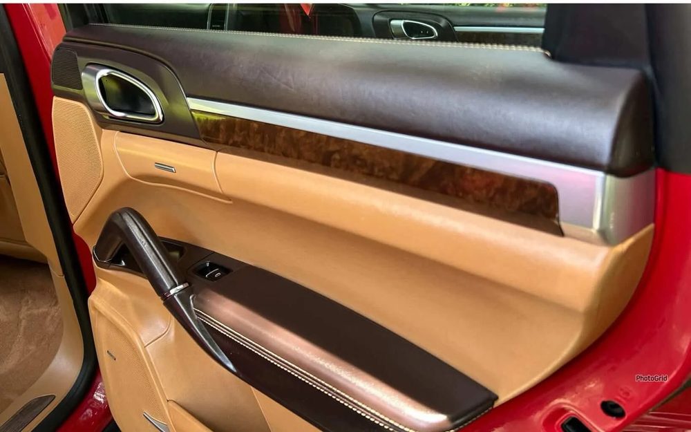 Porsche Cayenne door panel after DShine mold removal treatment