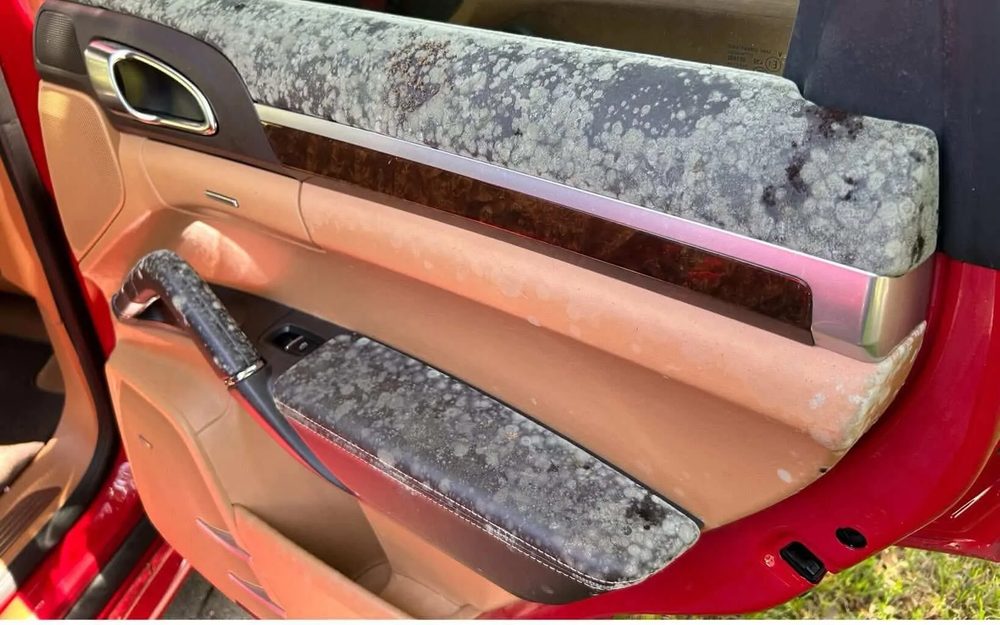 Porsche Cayenne door panel covered in mold before cleaning