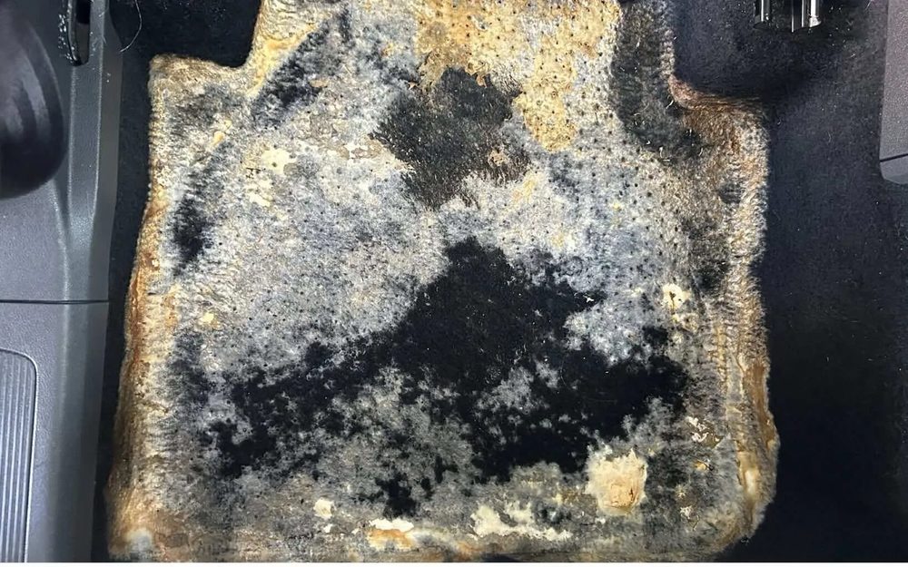Sedan floor mats with mold from Little Havana driveway before treatment
