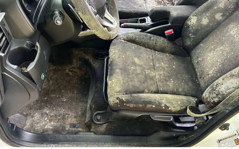 Vehicle interior with mold from Overtown street parking before treatment
