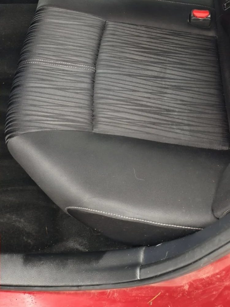 Imported SUV interior after Wynwood mold removal treatment
