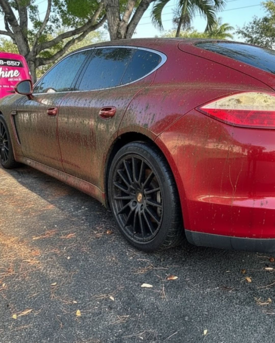 Porsche Panamera before paint correction — visible cat scratches and tree sap contamination